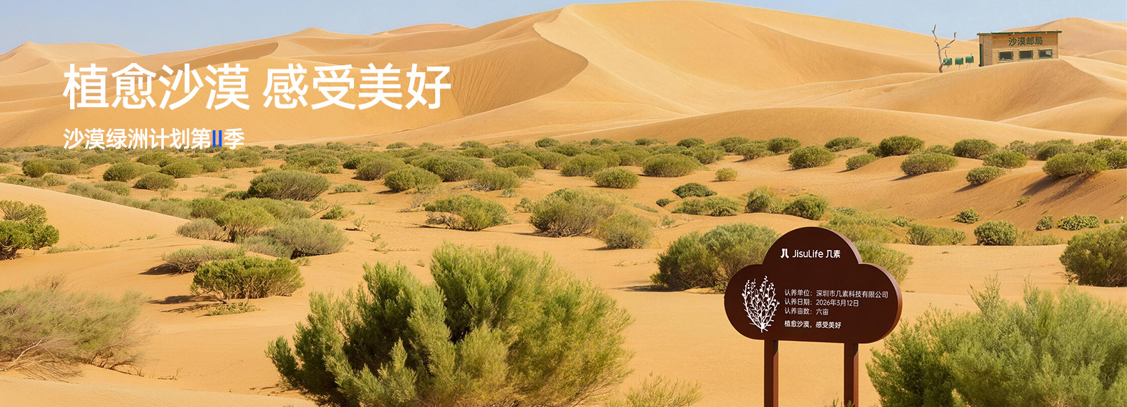 沙漠绿洲第Ⅱ季｜用一抹绿意，植愈沙漠